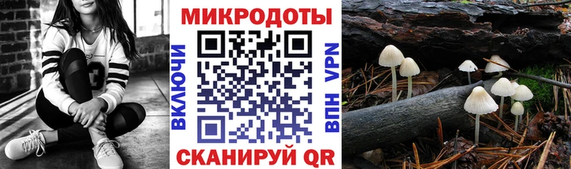 Псилоцибиновые грибы Cubensis Купить закладки Жуков